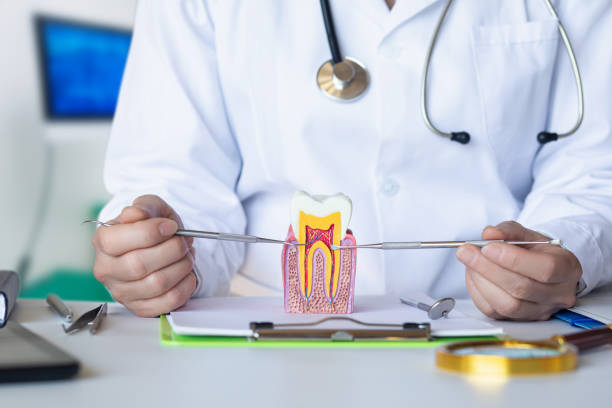 Best Urgent Tooth Repair  in Westwood Lakes, FL